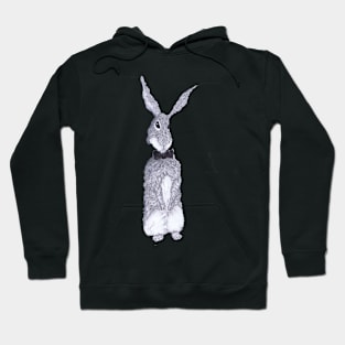 LITTLE BUNNY Hoodie